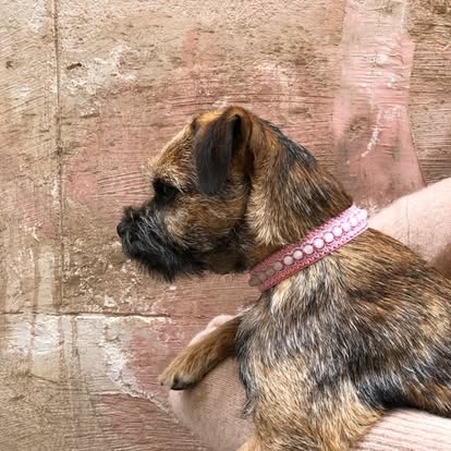 Ruusukvartsi korupanta pinkillä koristenauhalla