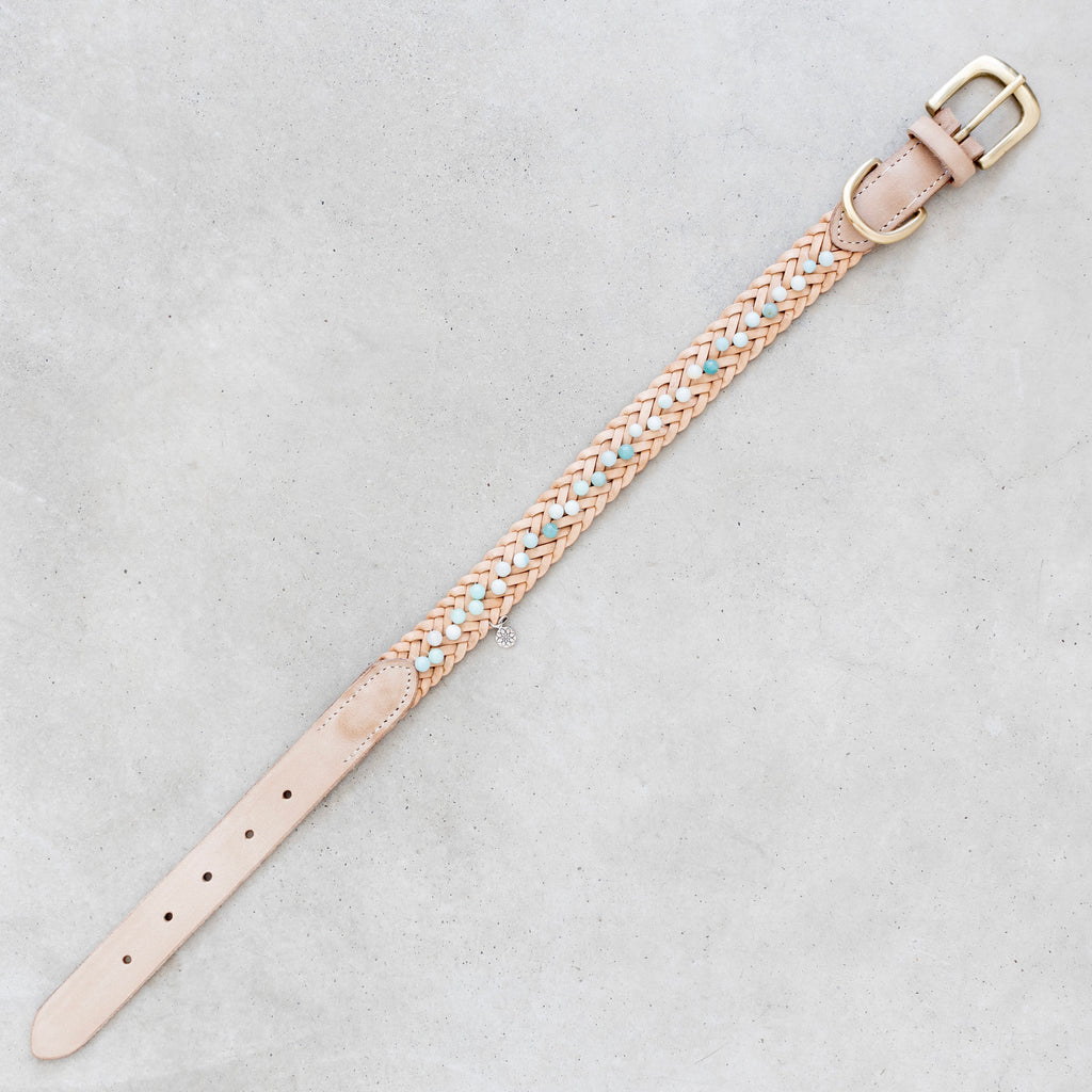 Nahkapanta amatsoniitti kivillä - Uli Design