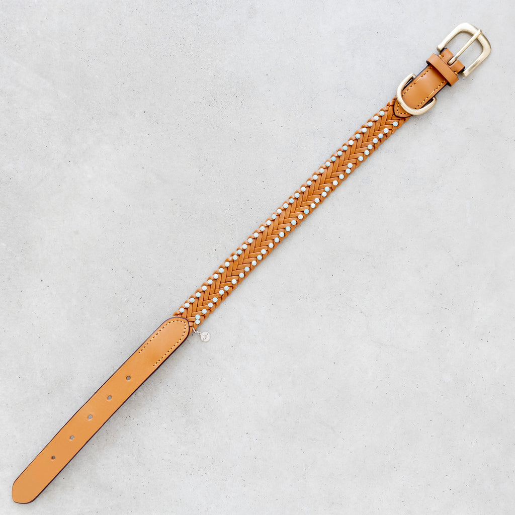 Nahkapanta amatsoniitti kivillä - Uli Design