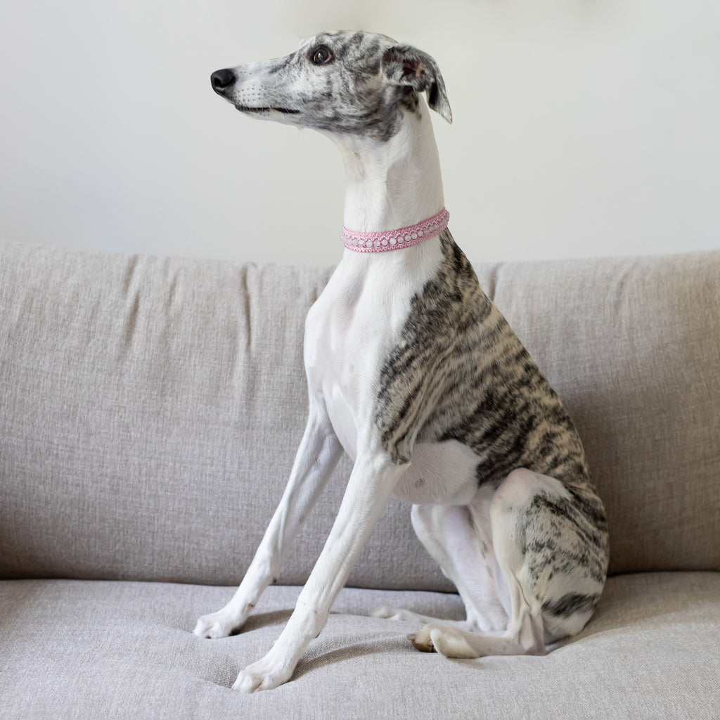 Ruusukvartsi korupanta pinkillä koristenauhalla