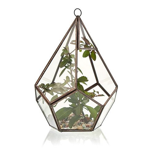 Lasinen terraarium -Iso pyramidi