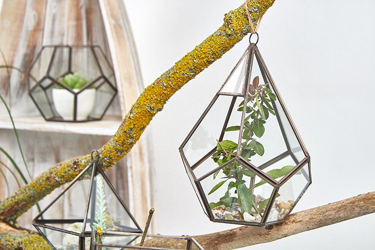 Lasinen terraarium -Iso pyramidi